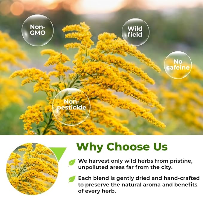 1.8 oz. Goldenrod Tea Herb Golden Root (Solidago Virgaurea L.) - 50g Dried Golden Rod Herbs Herbal Tea