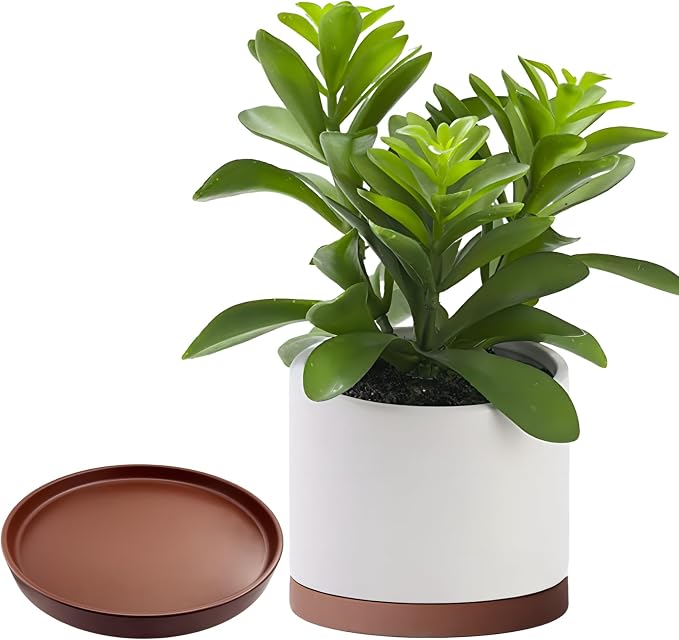 Yukfona Ceramic Plant Saucer Tray 1 Pcs 12 Inch Brown, 12.5" OD x11.9 ID x1.6 Deep| Fits Flower pots Bottom≤ 11.9", Heavy Duty Glazed Round Planter Drip with Catch Basin for Indoor Outdoor Plants