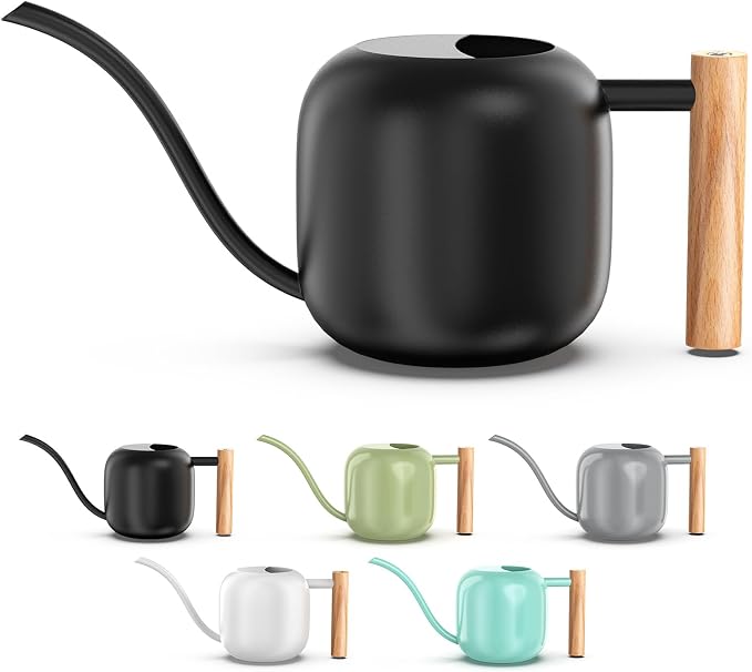 Green Moon 1.2L/41oz Metal Metal Watering Can with Long Spout, Black | Metal Stainless Steel Watering Can for Indoor Plants, House Bonsai, Succulents, and Garden Flowers, Decorative Watering Cans