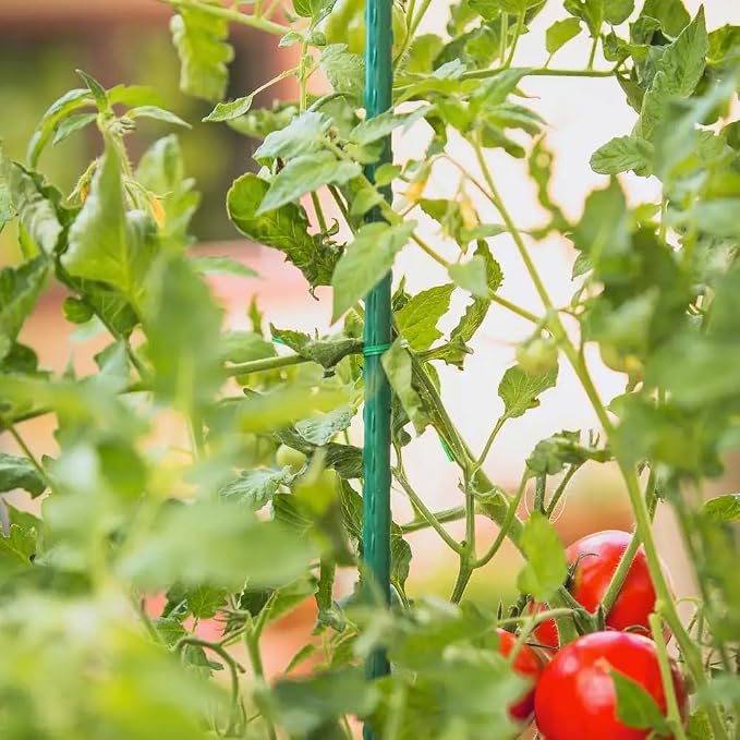 G-LEAF Garden Stakes 6 ft Plastic Coated Steel Tube Sturdy Metal Plant Sticks for Tomato,Cucumber,Bean,Tree,Pack of 25