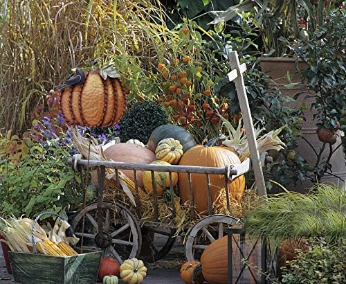 Metal Pumpkin Garden Stakes Welcome Sign Decorative Yard Sign Fall Decor | Autumn Pumpkin Decoration for Harvest Thanksgiving Halloween