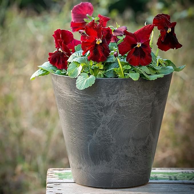 Root & Vessel Napa Round Planter, Black, 12"