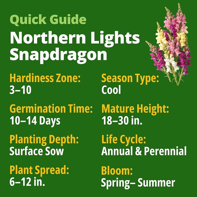 HOME GROWN Snapdragon Northern Lights Seeds, 10,000 Flower Seeds for Planting 2026 Spring, Pastel Garden Blooms of Snap Dragon, Pollinator Friendly Outdoor Cut Flowers (Antirrhinum majus)