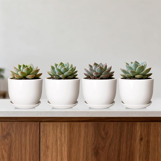 Ceramic Plant Pots,White 5.5 Inch Flower Pots for Plants,Ceramic Planter with Drainage Holes,Indoor Planter Pots with Saucer,Outdoor Garden Pots (White, 4 Pack)