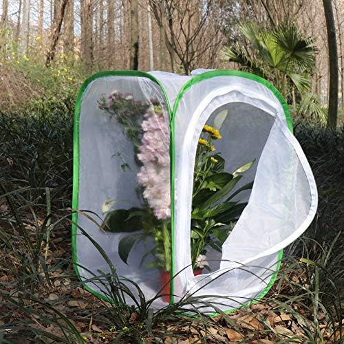 RESTCLOUD Insect and Butterfly Habitat Cage Terrarium Pop-up 24 Inches Tall with Zipper Protection - Image 3