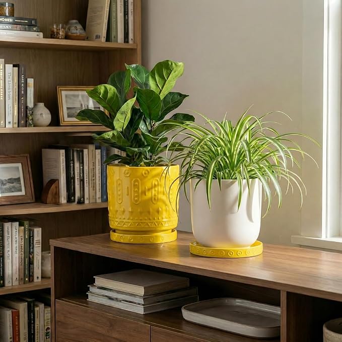Eightpot Plant Trays for Pots, 2 Pack Ceramic Plant Saucers for Indoors Outdoors, 5.6 Inch Plant Plates to Catch Water, Boho Plants Drainage Tray, Decorative Plants Dishes to Catch Water, Yellow