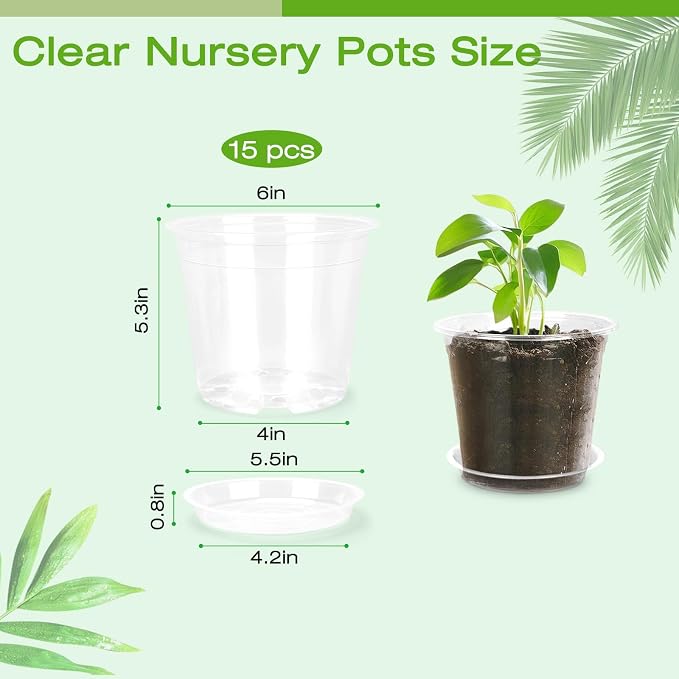 6 Inch Clear Nursery Pots with Drainage Trays, 15 Pack Plastic Pots for Plants, Clear Pot for Seed Starting, Transplanting, Succulents, and Indoor Gardening (6 inch)