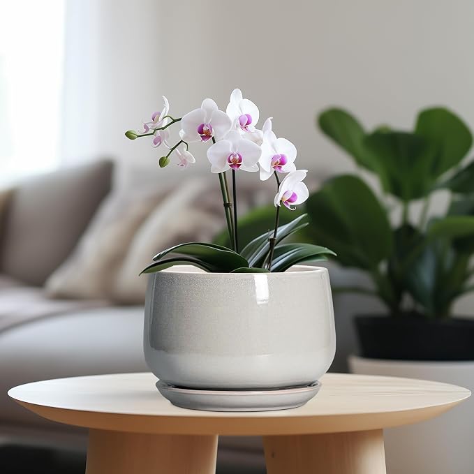 G EPGardening Ceramic Plant Pots - 7 Inch Plant Pot with Drainage and Saucer, Ceramic Planters for Indoor Outdoor Plants, Modern Round Planter, Room Decor, Gardening Gifts for Women Men, Light Grey