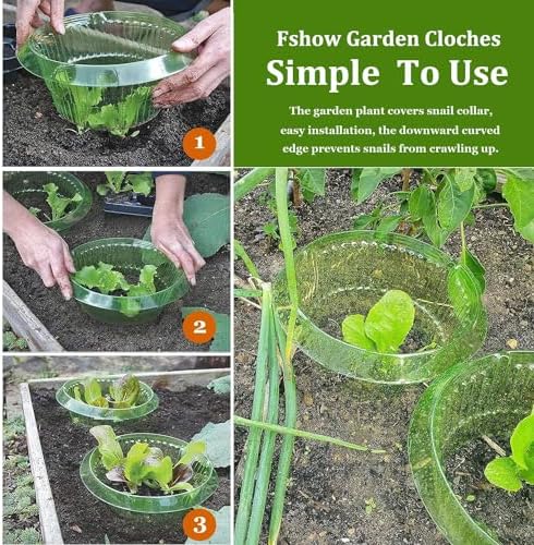 Fshow Garden Cloches，15 Pack Plastic Slug & Snail Plant Protection Collars,Snail Defense Without Chemistry, Snail Collar Protects Plants to Get Better. (Emerald Green) - Image 5