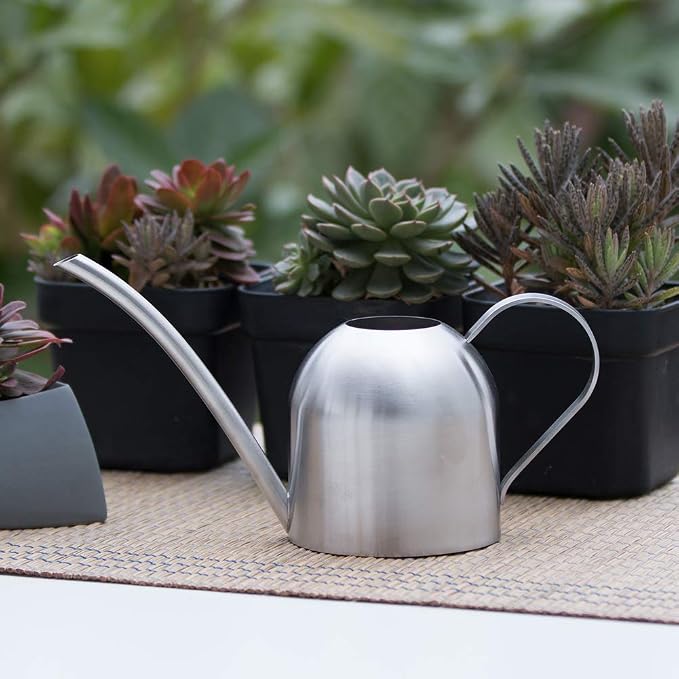 Watering Can for Indoor Plants, 30oz Long Spout Stainless Steel | Long Spout Design Delivers Precise Watering Directly To Plant Roots