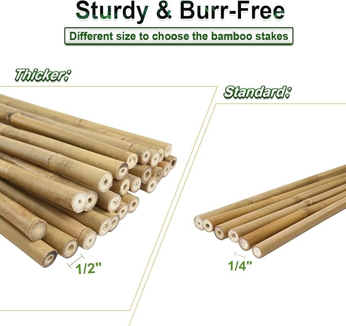 Jollybower 25pcs 1/2" D Thicker Heavy Duty Bamboo Stakes, 4.75FT Plant Stakes, Natural Garden Stakes for Tomato, Bean, Flowers,Trees Potted and Climbing Plant Support