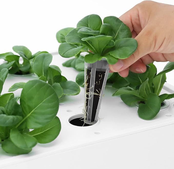 iDOO Hydroponics Growing System Kit & Growth Sponges 60 Pcs