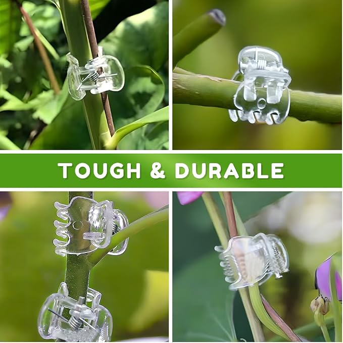Plant Clips for Climbing Plants, Orchid Clips Plant Support Clips Secured Plastic Plant Clips, Plant Fixing Clips Reusable Garden Clips Vine Clips for Supporting Stems Vines Grow (200, Transparent)