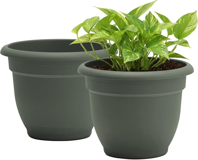 Bloem Ariana 16" Self-Watering Plastic Planter - Rolled Rim Indoor/Outdoor Garden Pot, Basil, 2-Pack