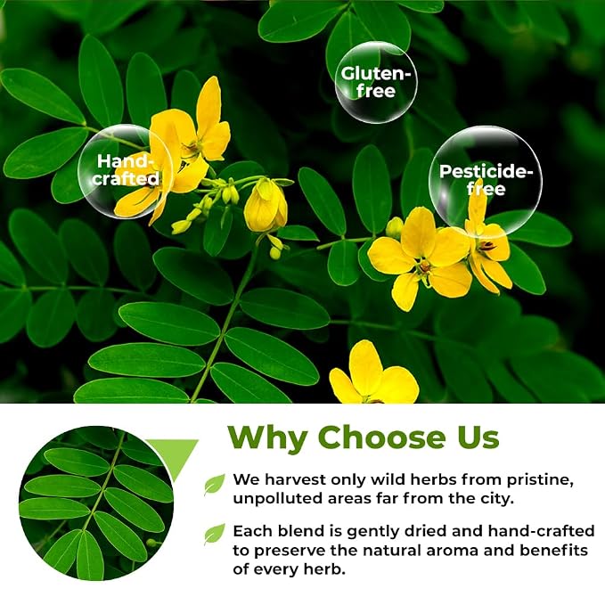 4 oz. Senna Leaf Senna Leaves Tea Bags Herbal Tea (Senna Alexandrina) - 113g Bags Hoja De Sen Hojas De Sen Para Te