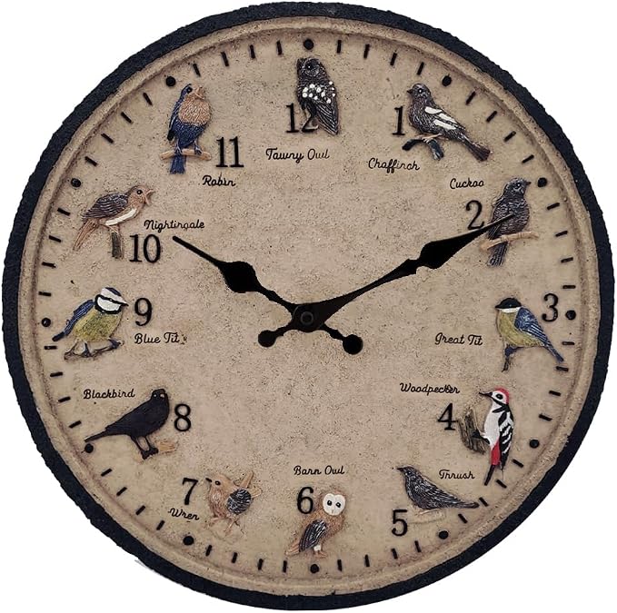 Outdoor Wall Clock for Garden, Patio and Deck, Decorative Birds Wall Clock, 12in Garden Clock Waterproof Clocks -Not Silent (12 Birds)