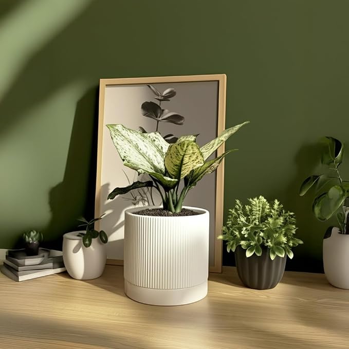 HERDUK 6 Inch Ceramic Plant Pot with Drainage & Saucer - Indoor Planter for Succulents, Cacti & Aloe Vera - Striped Design, High-Temp Fired Clay, Lightweight Modern Decor White