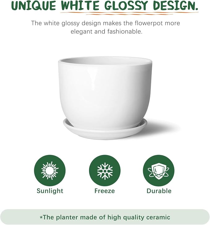 8 Inch Ceramic Planter, Plant Pots with Drainage Hole and Separable Saucer,Indoor-Outdoor Round Succulent Orchid Flower Pot,Indoor pots for Plants(White,Plant Pot only)
