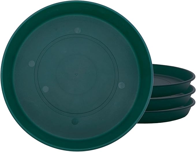 The HC Companies 7 Inch Prima Round Plant Saucer, Lightweight UV-Resistant Plastic Outdoor & Indoor Flower Pot Tray, 4-Pack Plant Pot Trays for Garden & Home Decor, Evergreen