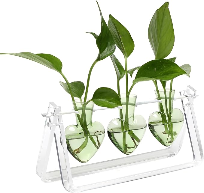 Clear Plant Terrarium Propagation Stations with Acrylic Stand | Birthday Gifts for Women Office Home Decor