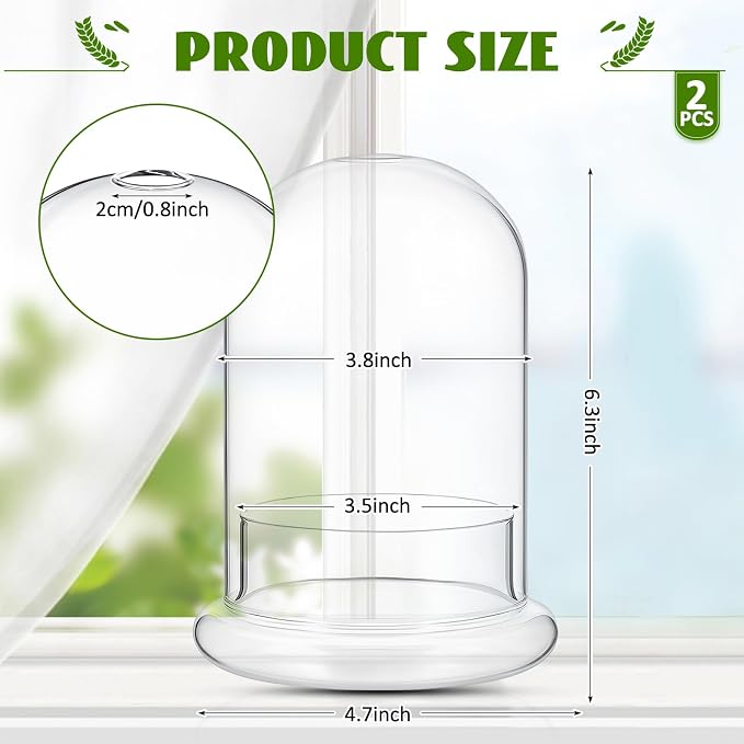 2 Pcs 4.7 x 6.3 Inch Glass Terrarium Dome Cloche with Air Hole & Glass Base, Clear Terrarium Containers Ventilated Plant Humidity Dome for Carnivorous Plants Orchids Tropical Cuttings, No Leakage