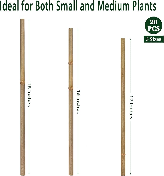 Plant Stakes,12 Inches Natural Garden Bamboo Sticks,BOVITRO 20Pcs Plant Support Stakes for Tomatoes,Beans,Vegetable and Potted Plants