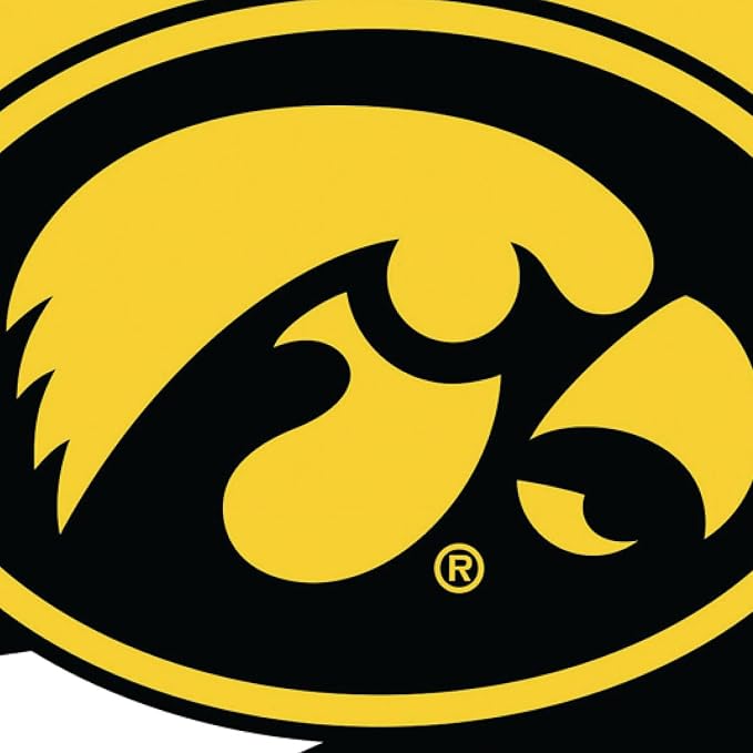 NCAA University of Iowa House Flag, 28 x 44, Double Sided Garden Flags for Outside, Outdoor College Flags & Banners for Gardens Patio, Indoor Wall Decor Flag for Room