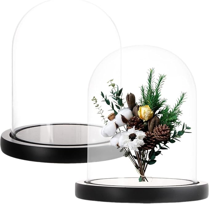 ZOOFOX Set of 2 Glass Dome Cloche with Black Wooden Base, 5.7" x 6.5" Decorative Bell Jar Display Dome for Plants, Fairy Lights, Photos, Succulents and Medals