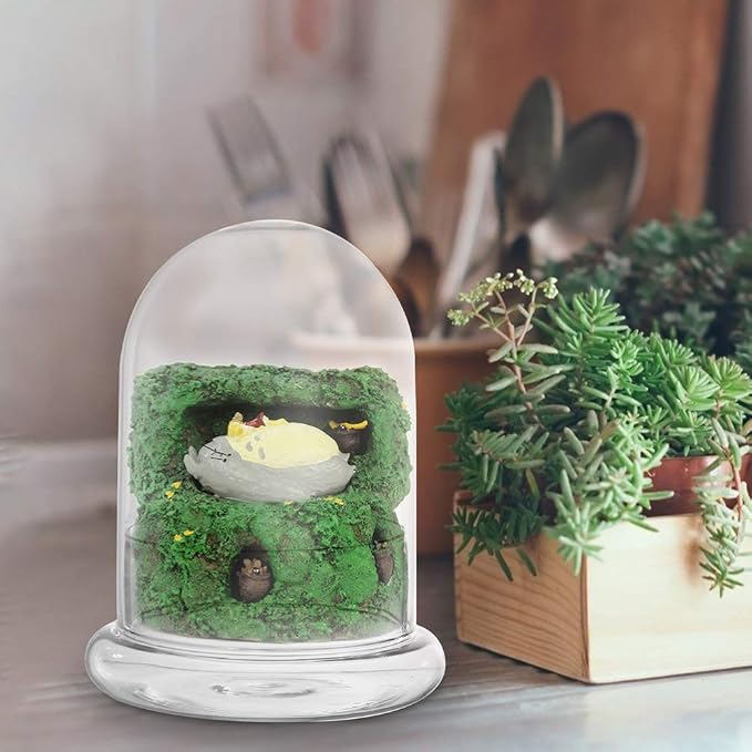2-Pack Glass Terrarium Jar with 8mm Vent Hole, Clear Plant Dome Cloche Container for Moss DIY, Micro Landscape Flower Ecological Bottle