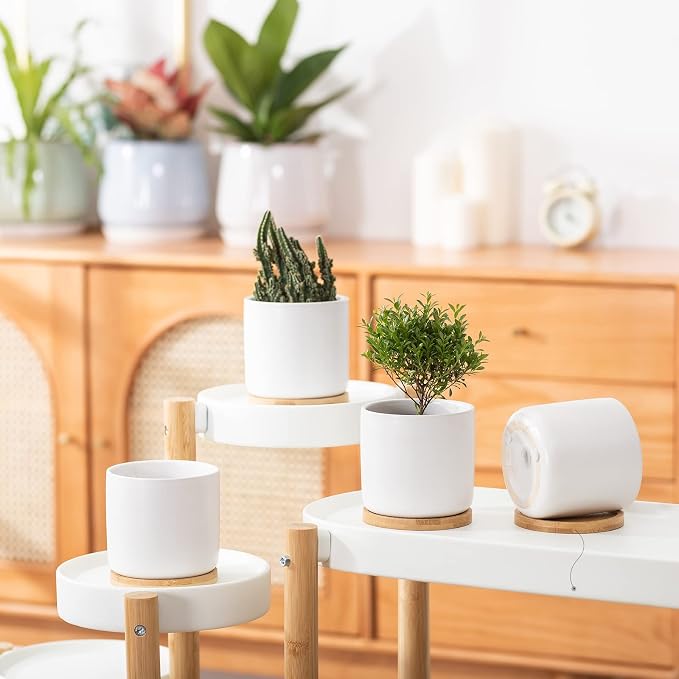 4 Inch Ceramic Plant Pot with Saucer, White Planters Pots with Drainage Hole and Mesh Pads for Succulent, Snake, Cactus, Herbs - 4 Packs(Plant Not Included) | White Planters Pot, for Succulent Snake Cactus Herbs, 4 Packs, Plant Not Included