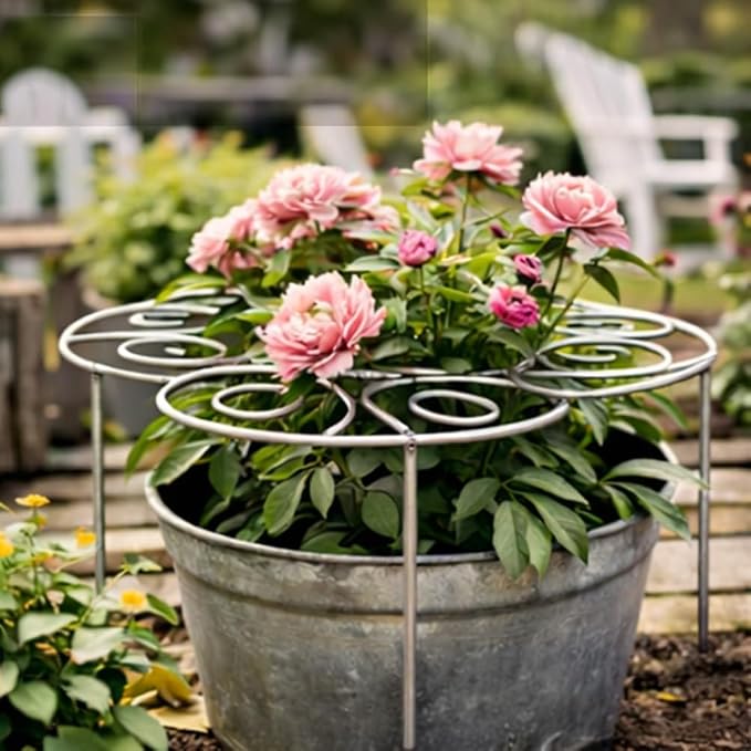Metal Plant Support Ring for Garden, Peony Cage Stand, Indoor Pots, Flower Hoop, Decorative Grow Through Rings, Stackable Houseplant Stake, Dahlia Cage, Outdoor Orchid Clip(2PCS,Small)