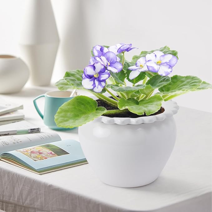 2pcs 6.5 * 4.6 * 4 inch White African Violet Flower Pot Ceramic Self Watering Flower Pot Simple Plant Self Watering Pot Indoor Flowers High Absorption Herbaceous Flower Pot