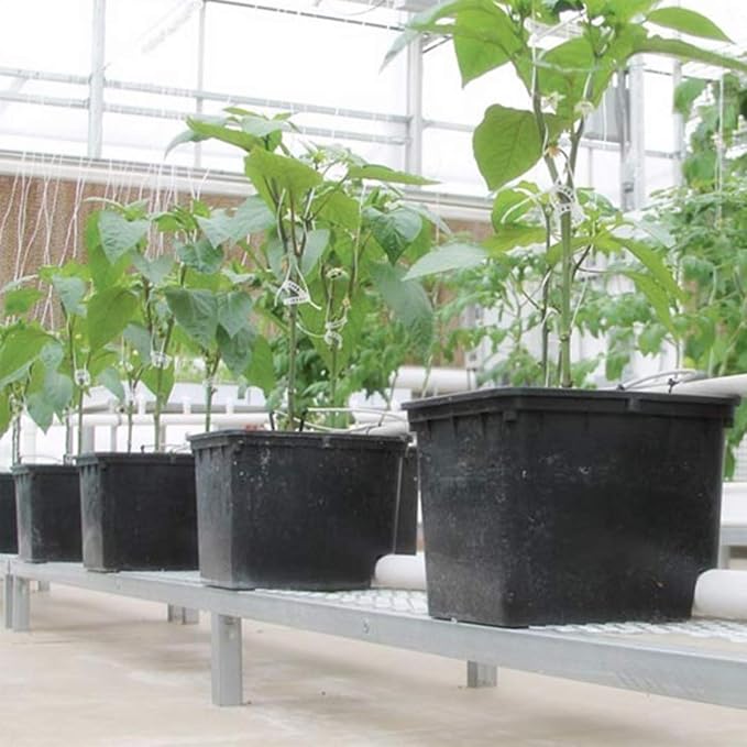 Hydroponic Bato Dutch Bucket, 11 Liter, with Siphon Elbows, 12" x 10" x 9" - 10 Pack