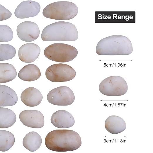 20Ib Cream White River Rock- Decorative Pebbles for Plants - River Rocks for Outdoor Landscaping- 0.3"-0.8" inch High Polished Stones for Aquarium, Terrarium,Vases, Home Decor