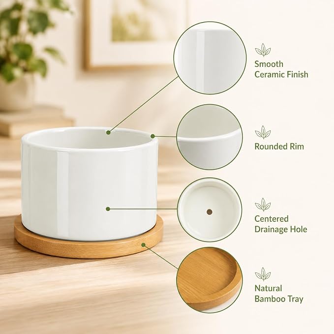 ZOUTOG 12 Pack Ceramic Succulent Pots,3.6 Inch Plant Pots,Succulent Planters with Drainage Hole & Bamboo Tray for Indoor Plants,White Small Flower Planters for Home,Office,Desk