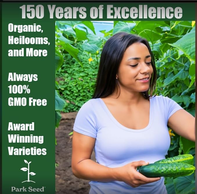 Park Seed Variety of Cucumber Seeds, Planting Cucumbers, Vegetable Seeds, Easy to Grow, Non-GMO, Perfect for Harvesting, Diva, Pack of 30