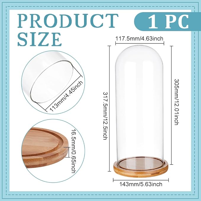 BENECREAT 4.6x12inch Eternal Transparent Flower Glass Cover, Glass Display Dome Cloche Jar with Sandy Brown Solid Wood Base for DIY Flower Craft