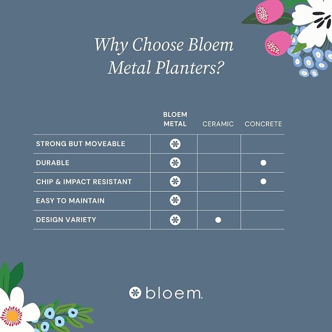 Bloem Grove Indoor Metal Cachepot Set - Includes 6", 8", 10" and 12" Decorative Planters with Powder-Coated Finish, Removable Drain Plugs, Cream