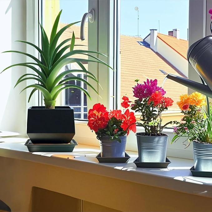 Square Plant Saucer 8 Inch 5 Pack, Planter Trays for Flower Pots, Plant Water Catcher Drip Dishes, Plastic Bottom Watering Plates Indoors and Outdoors - Black