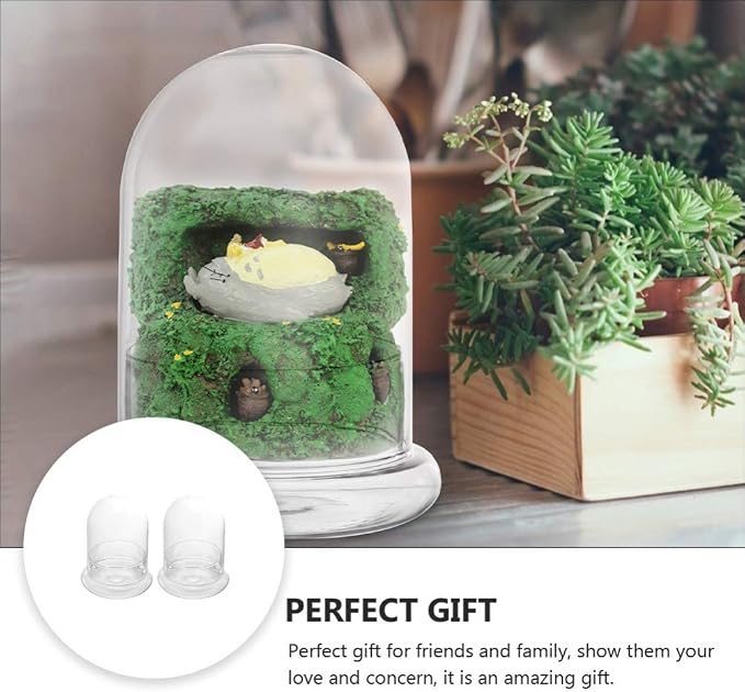 2-Pack Glass Terrarium Jar with 8mm Vent Hole, Clear Plant Dome Cloche Container for Moss DIY, Micro Landscape Flower Ecological Bottle