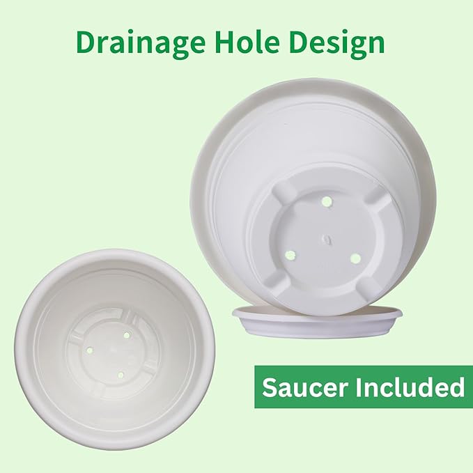 5 Packs 10 inch Plant Pots + Saucer, Planters for Indoor & Outdoor Plants with Drainage Holes | Plastic Flower Pots, Large Planter (Beige, 10 inch)