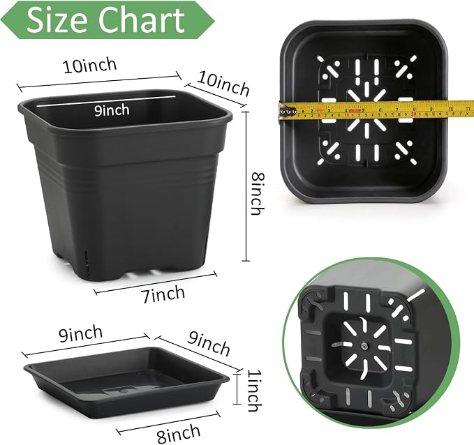 BTPLASTIK 10 Inch Square Planters with Saucers 5 Pack, Heavy Duty Black Plant Pots, Air Pruning & Super Ventilation, Anti-Crack Garden Pots for Indoor Outdoor Orchids Vegetables Trees