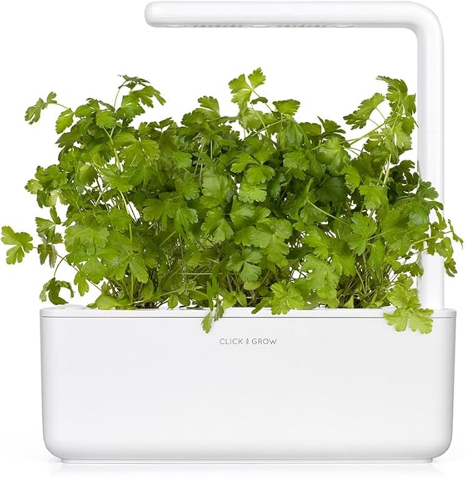Click and Grow Smart Garden Plain Parsley Plant Pod (3-Pack)
