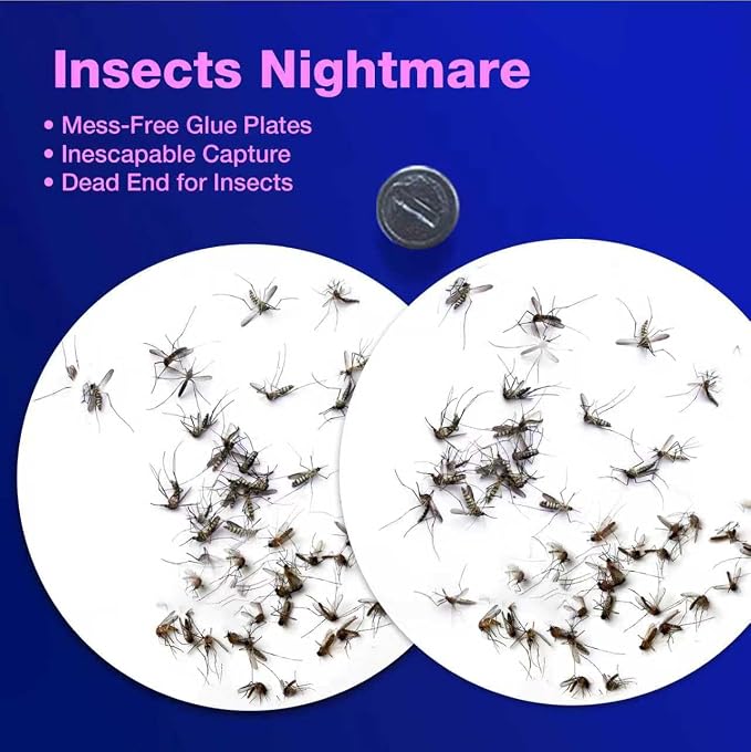 Mosquito Trap & Lure Refill Pak, 5 Olfactory Lure Capsules & 5 Trap Plates for ZingZap Indoor Mosquito Trap Magic Magnet Double-Bait, 2X More Effectively Flying Insect Trap for Mosquitoes & Gnats