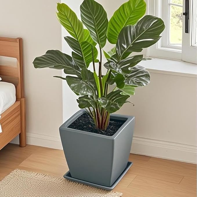 Square Ceramic Plant Saucer Tray 2 Pcs 8 9 10 Inch Grey, 9.3" OD x8.3 ID x1.3 Deep, Sturdy Heavy Duty Glazed Planter Drip Flower pots with Catch Basin for Indoor Outdoor Plants(10" Grey)