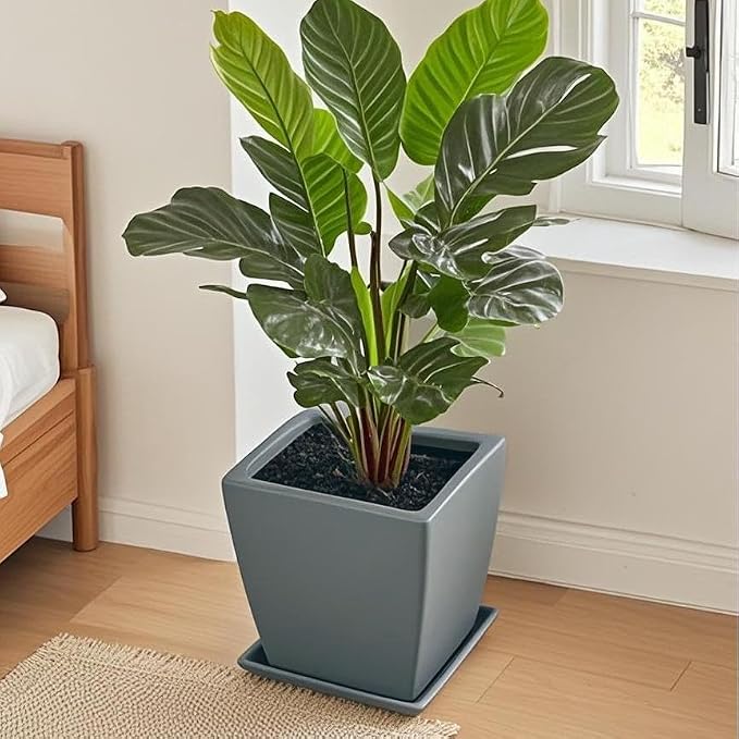 Square Plant Saucer 10 Inch 1 Pack，Plant Trays for Pots, Gray Ceramic Plant Saucers for Indoors Outdoors, Plant Drip Tray 4 6 8 10 12 14 Inch