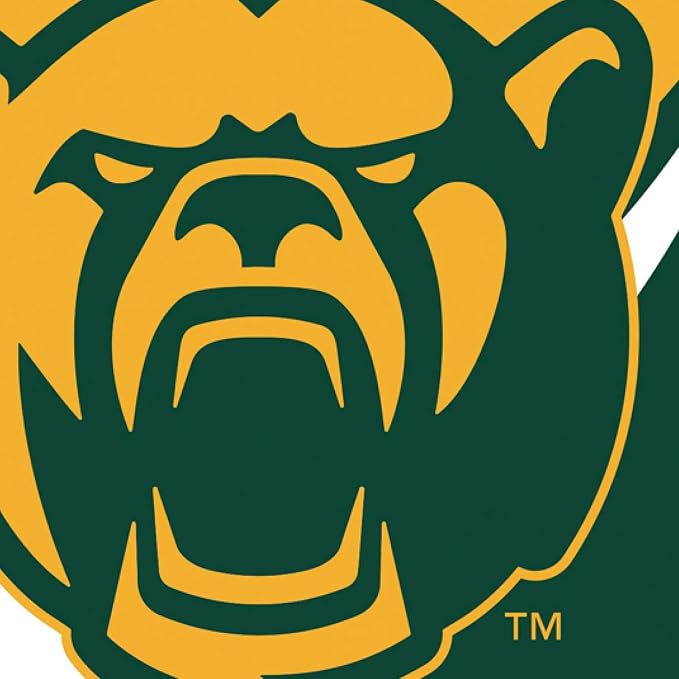 NCAA Baylor University House Flag, 28 x 44, Double Sided Garden Flags for Outside, Outdoor College Flags & Banners for Gardens Patio, Indoor Wall Decor Flag for Room