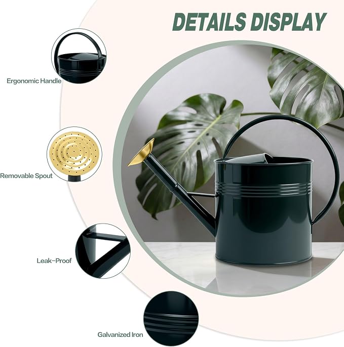 LONGRUN 2.5 Gallon Dark Green Metal Watering Can for Plants and Garden with Removable Spout, Made of Galvanized Iron