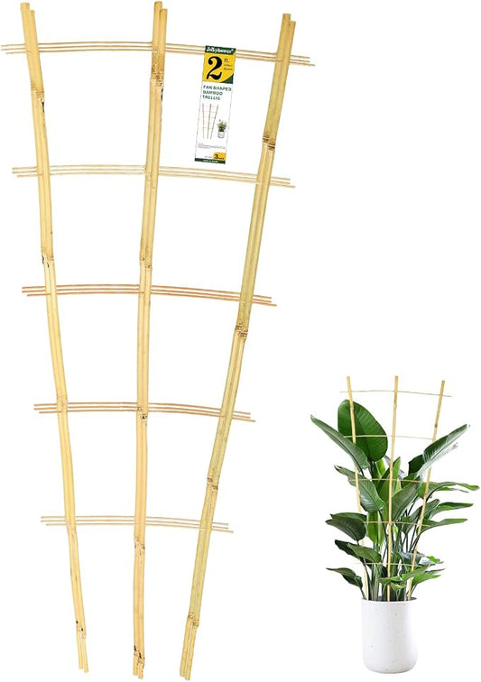 Jollybower 3PCS Fan-Shaped Bamboo Trellis, 2Ft Plant Trellis Indoor, Small Trellis for Potted Plants Indoor, Climbing Plants, Vegetables