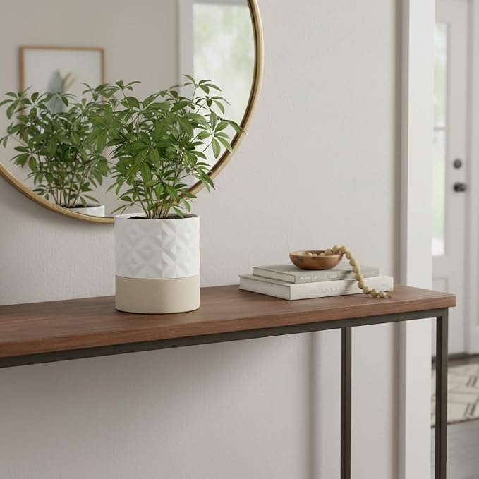 Nihow Ceramic Self Watering Plant Pot for Indoor Plants, 6 Inch,Cream White | Planter with Cotton Wick, Drainage Hole & Water Storage Plus, Cylinder Round Flower Pot, For Succulent/Herbs/Violets